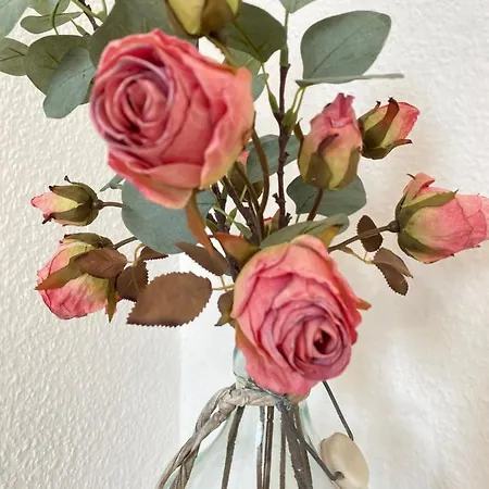 Апартаменты K2-project - Midcentury-smart-home Am Kassberg