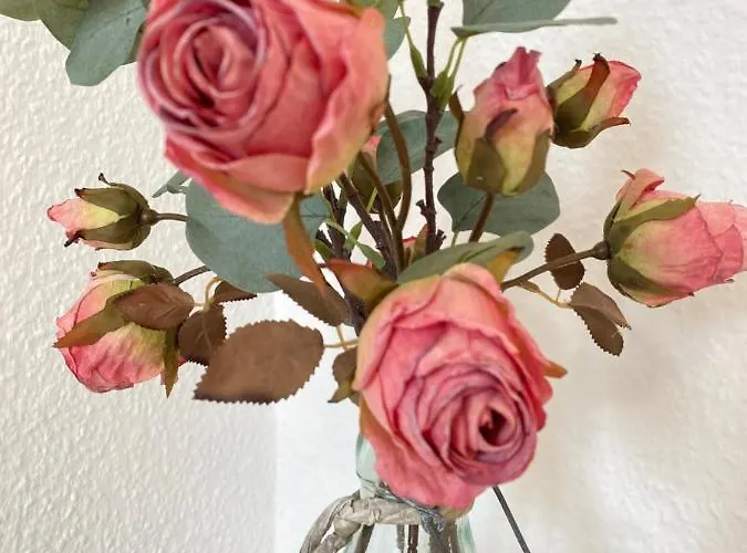 Apartament K2-project - Midcentury-smart-home Am Kassberg